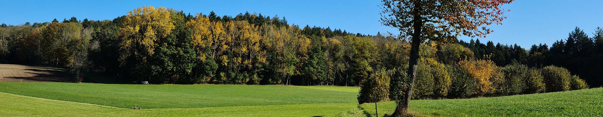 Kallern im Herbst