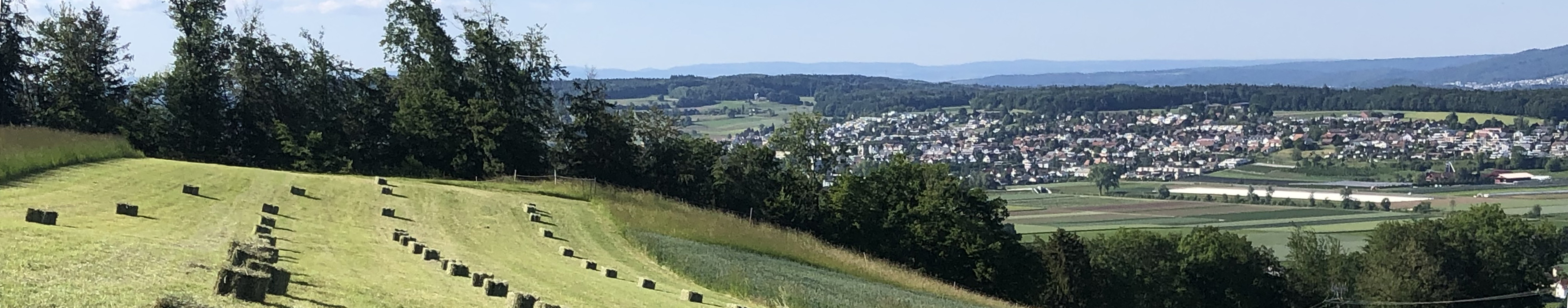 Kallern im Sommer 