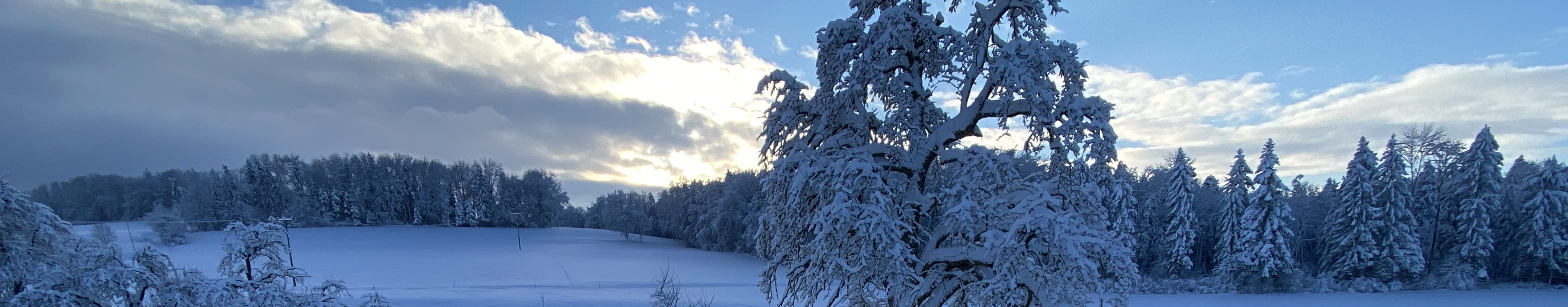 Kallern im Schnee