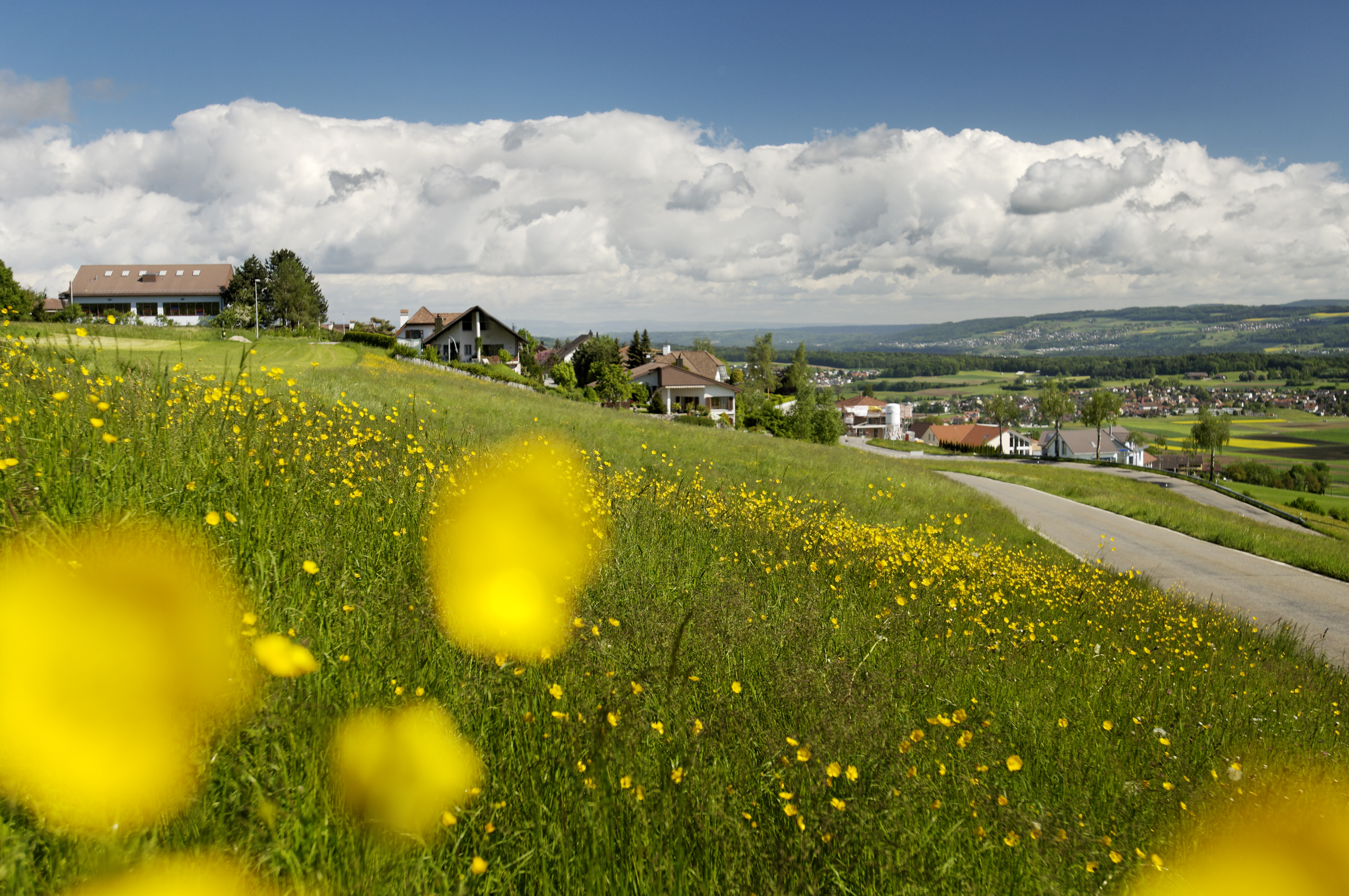 Kallern - hier will ich sein!